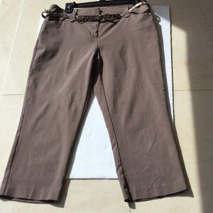 Stretch Pants by Style & Co. Light Brown size 8.                    #50